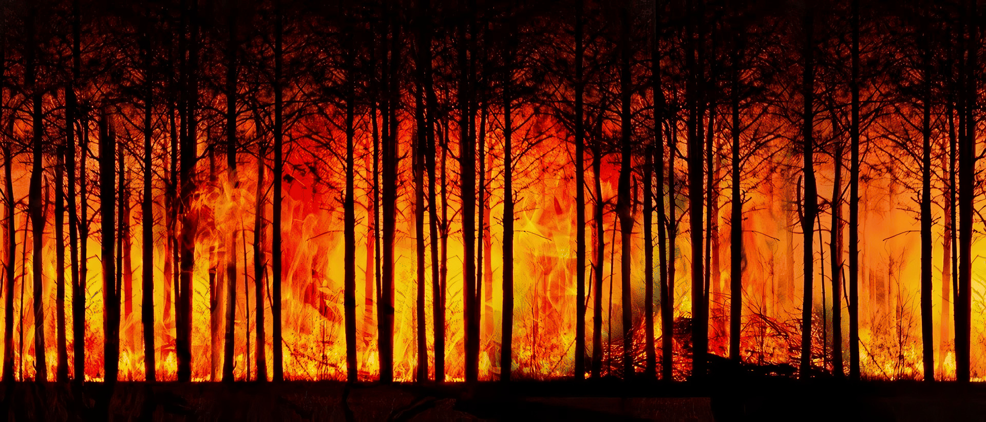 Une photo d'un feu placé au centre de l'écran.